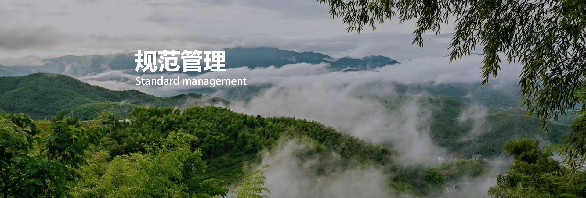 利记·sbobet(中国)-官方网站